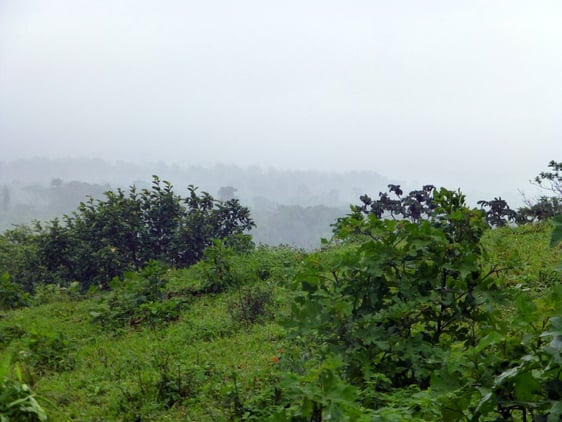 nature tours 3