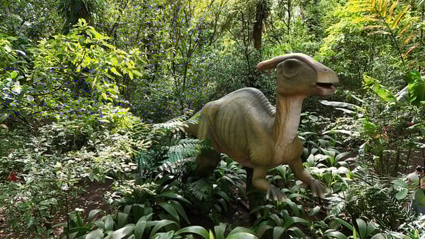 Dino park day tour