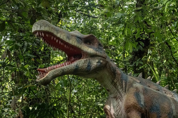 Dino Park Tour 4