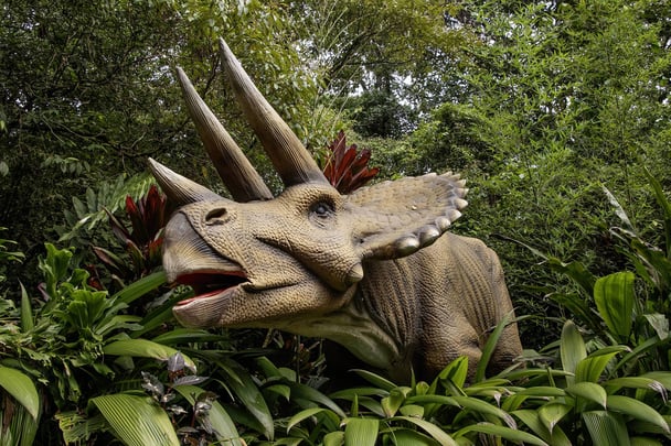 Dino Park Tour 3