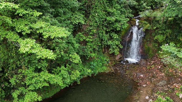 Nature Tour