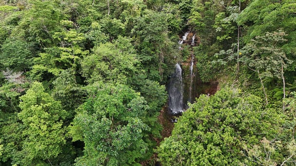 DJI_20240515104228_0184_D_GP