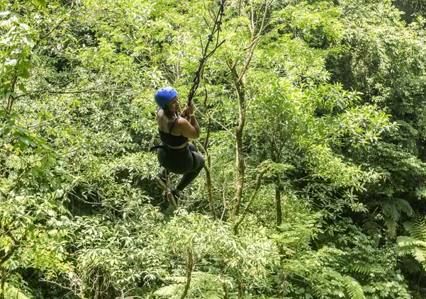 Zip lining tour 3